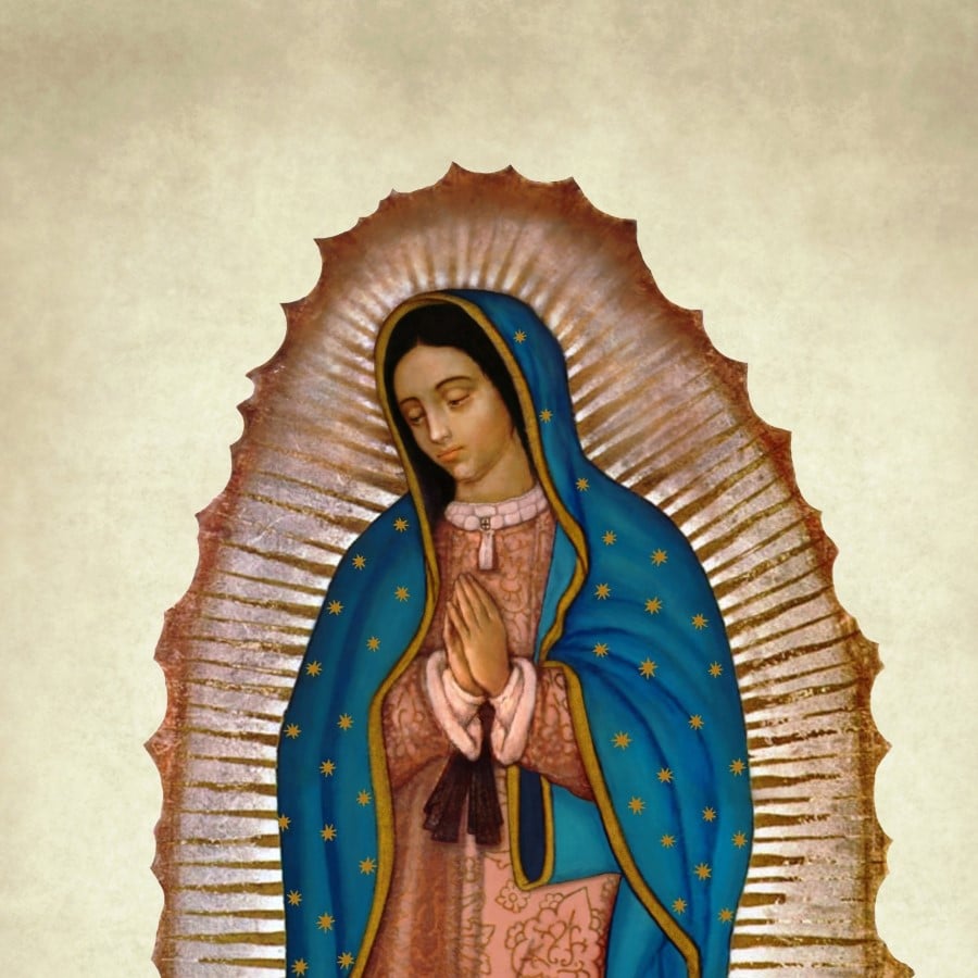 Illustration of Our Lady of Guadalupe