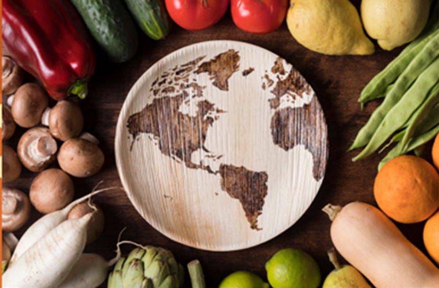 Photo of vegetables surrounding a plate etched with a world map
