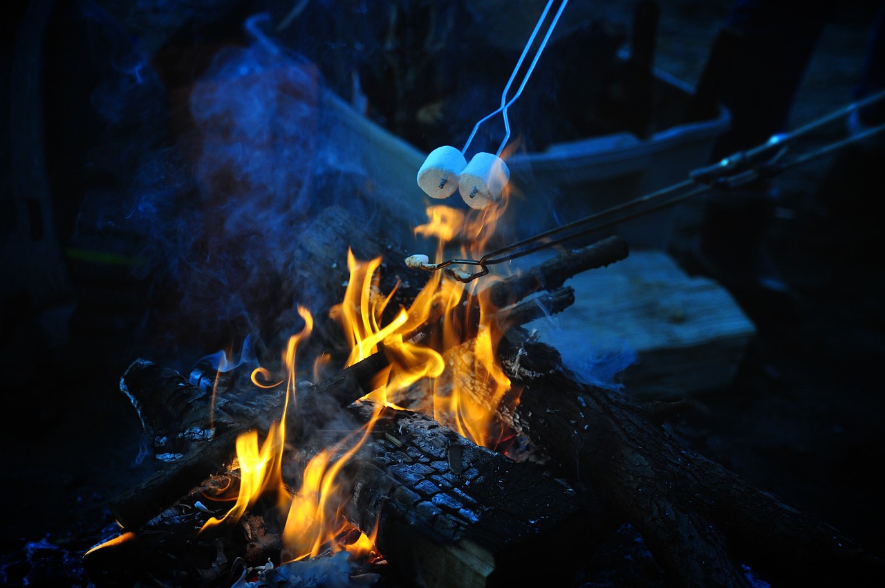 Photo of marshmallows being toasted over a campfire