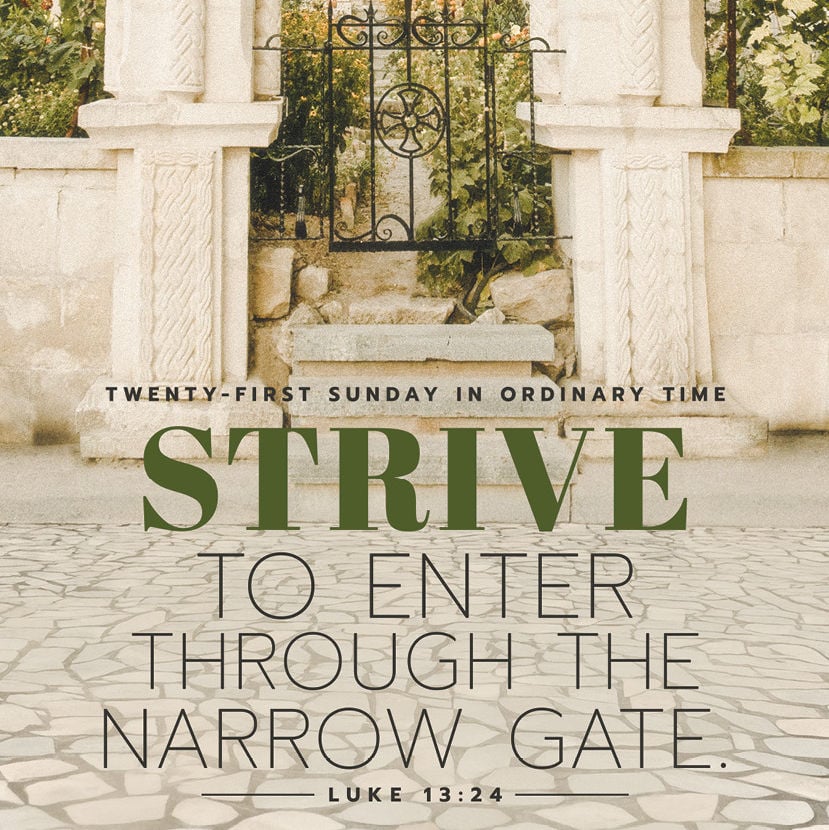 Photo of a narrow path leading to a  gate