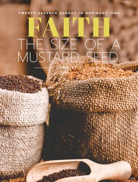 Photo of burlap bags of mustard seeds