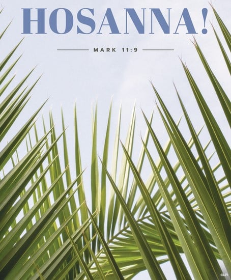 Photo of palm fronds and the word Hosanna