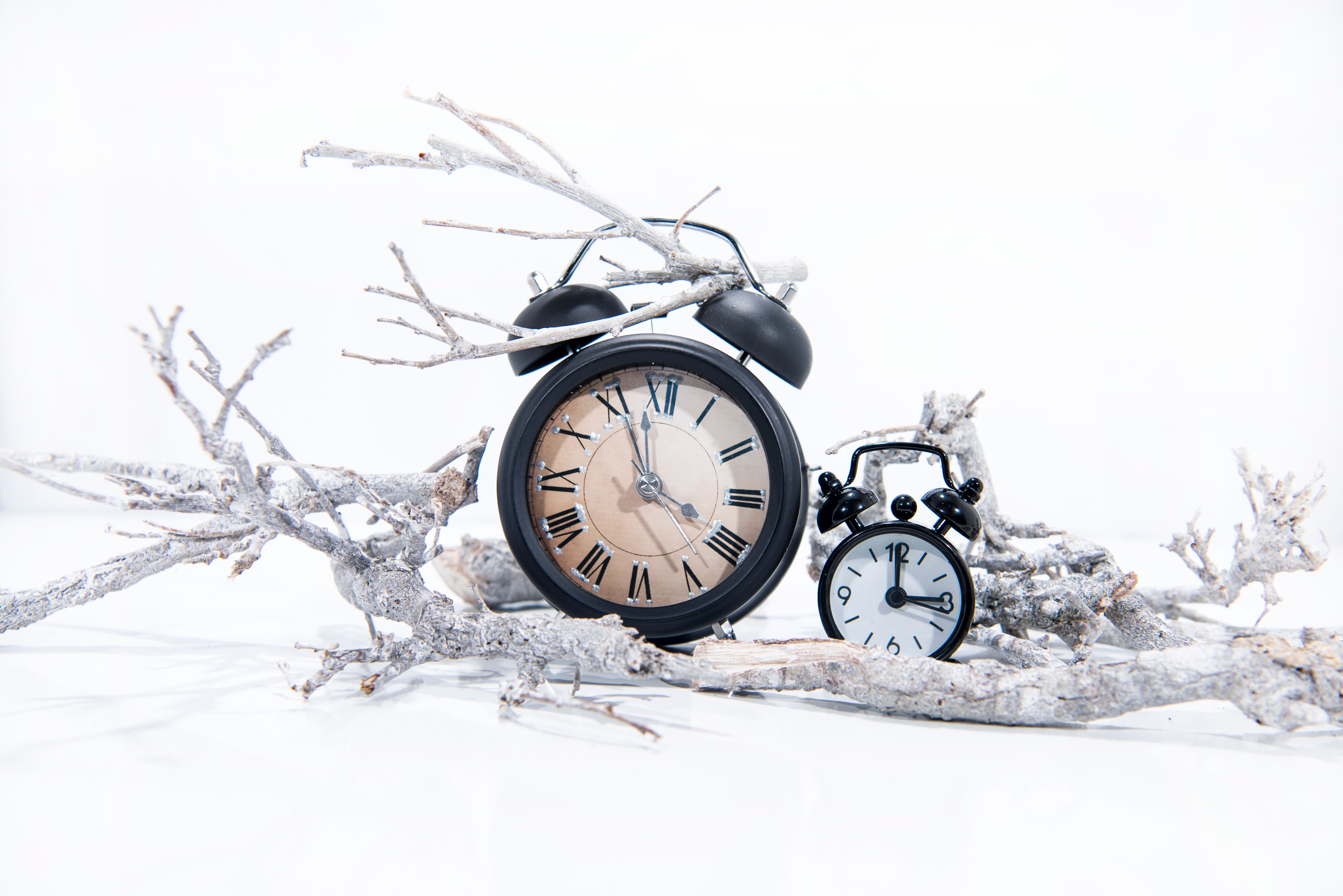 Photo of an alarm clock with wintry branches