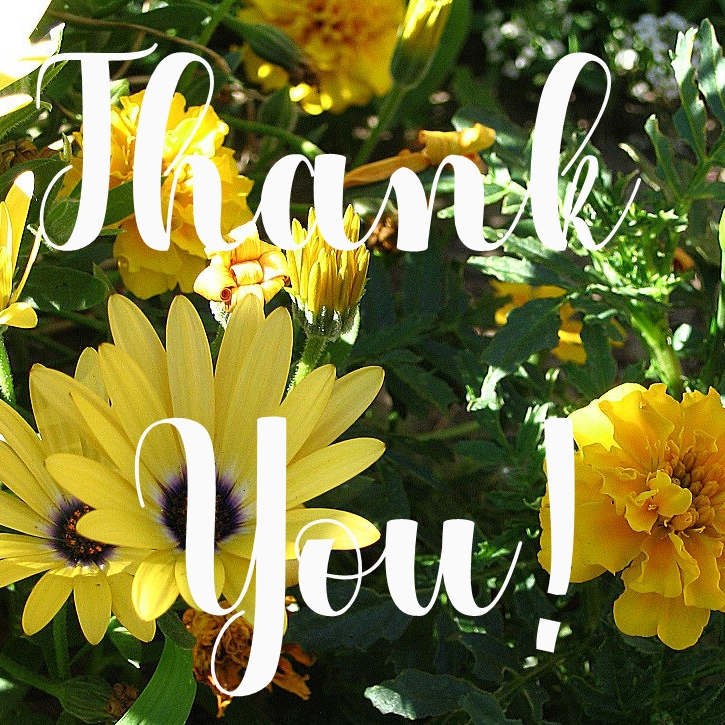 Flowers with the text Thank You