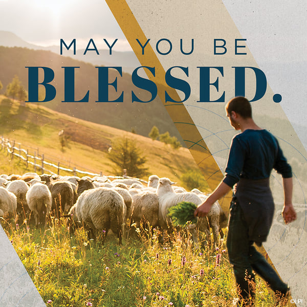 Photo of a shepherd and his flock