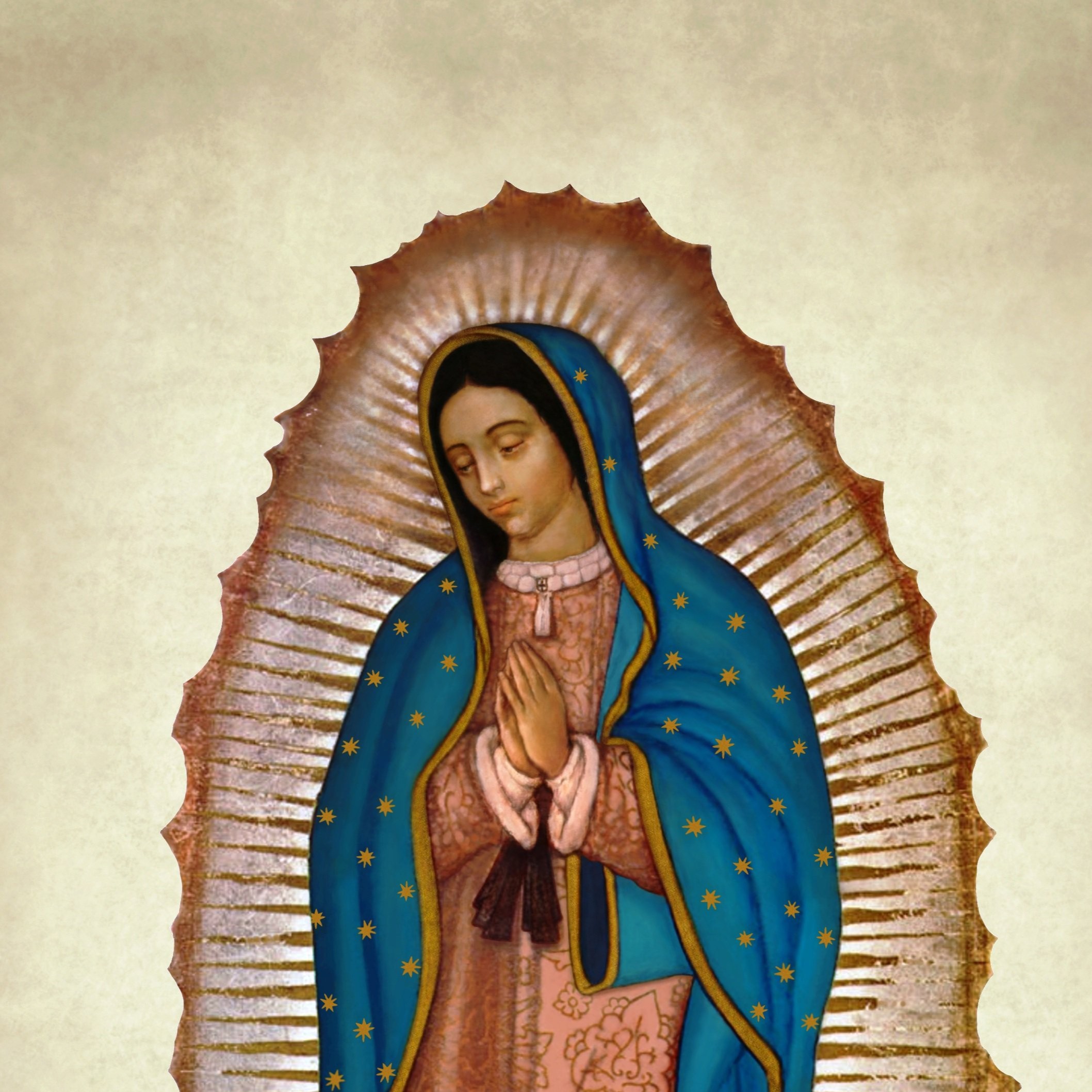 Illustration of Our Lady of Guadalupe