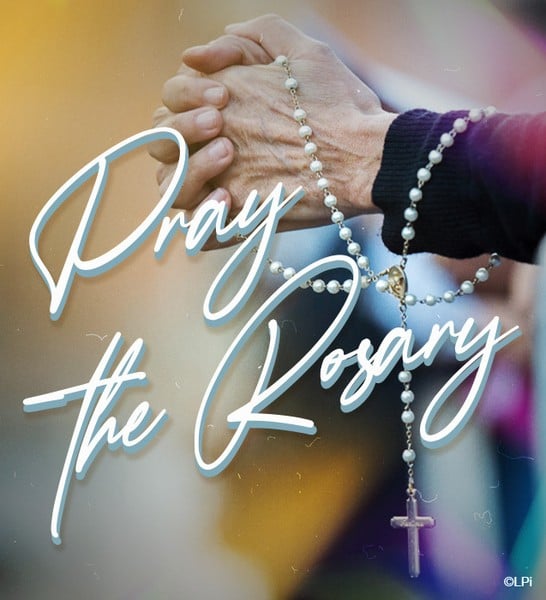 photo of hands holding the rosary with the text Pray the Rosary