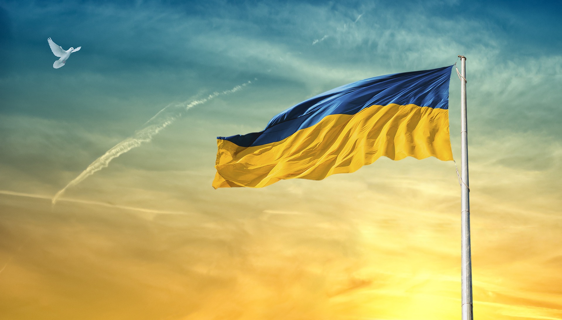 A photo of the flying Ukrainian flag and a white dove