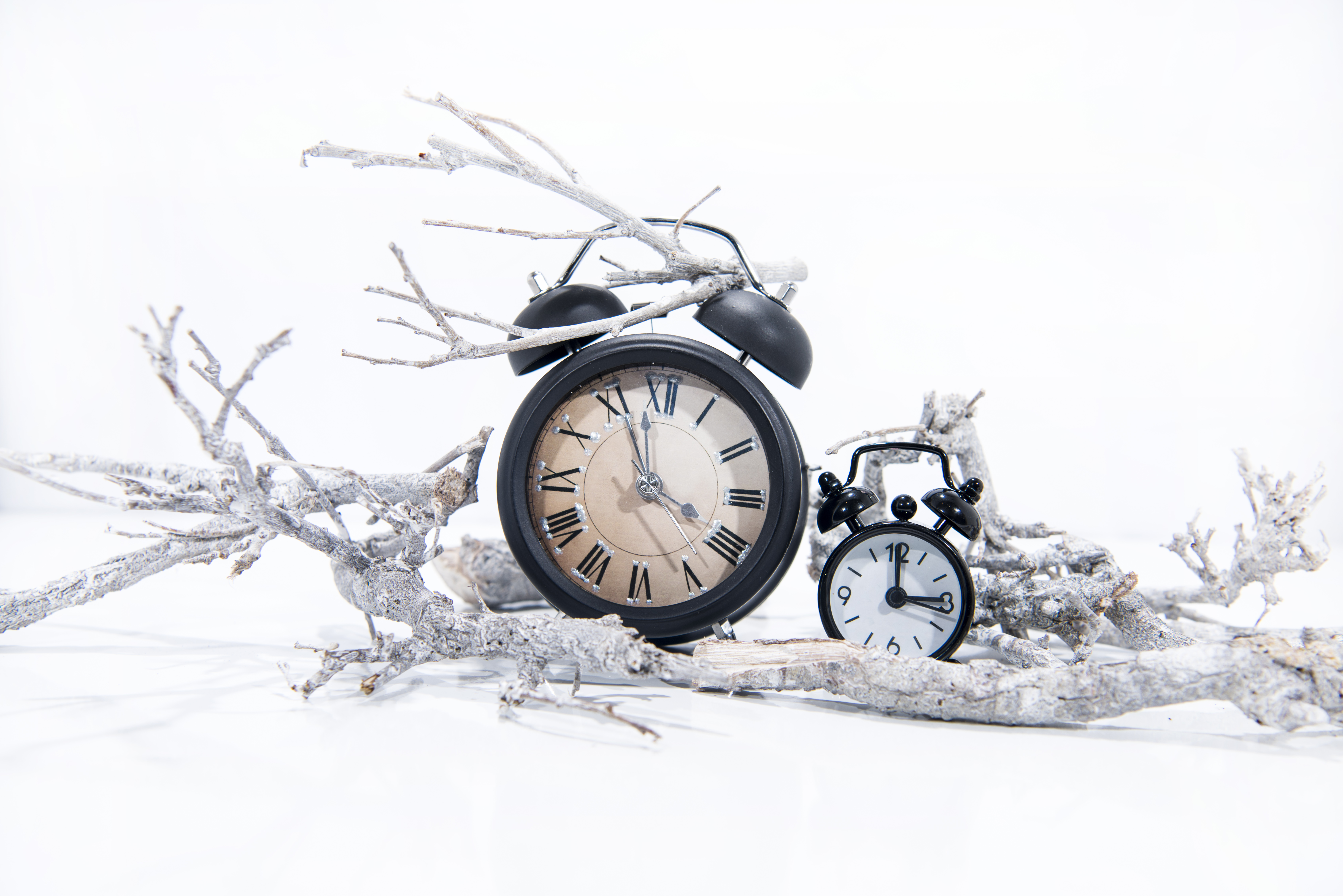 Photo of an alarm clock with wintry branches